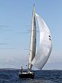 ORCi2 619